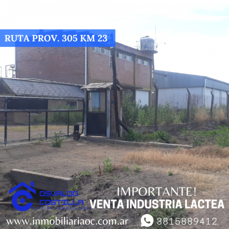 Venta de Industria Lactea ubicada en Timbo Nuevo - Ruta Provincial 305 Km 23