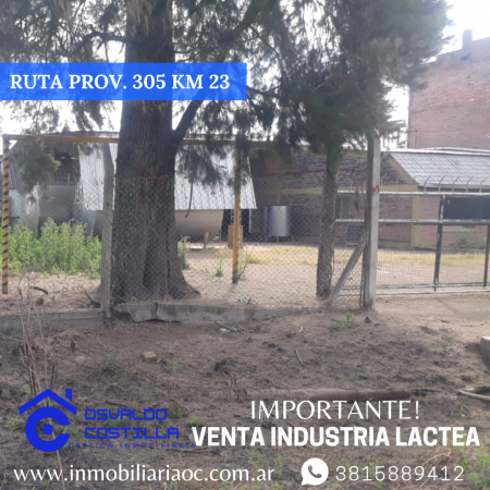 Venta de Industria Lactea ubicada en Timbo Nuevo - Ruta Provincial 305 Km 23