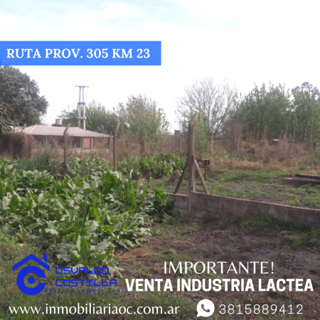 Venta de Industria Lactea ubicada en Timbo Nuevo - Ruta Provincial 305 Km 23